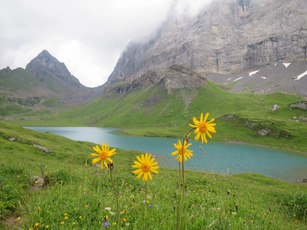 Eine Perle in der Alpenwelt: Der Seewlisee