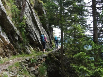 Eine erlebnisreiche Wanderung entlang der Waldgrenze