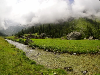 Mitten durch das Eidgenössische Jagdbanngebiet im Fellital
