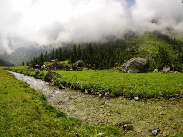 Mitten durch das Eidgenössische Jagdbanngebiet im Fellital