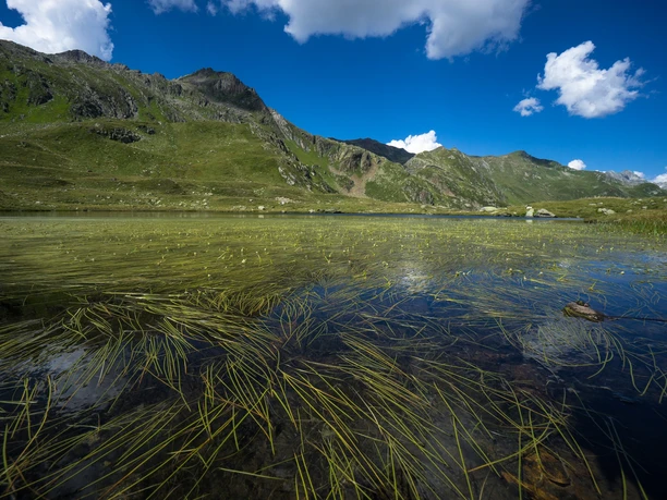 Das Wasserschloss Europas