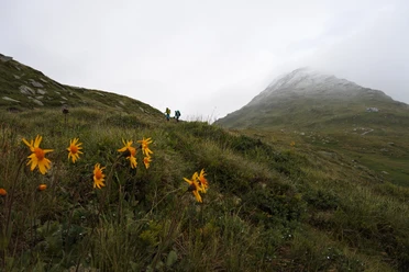 Frühmorgendlicher Aufbruch auf der Maighelshütte