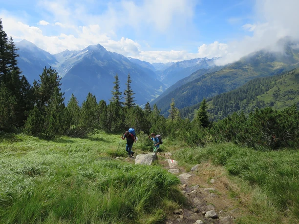 Richtung Sunniggrathütte durch einen wunderschönen Märchenwald