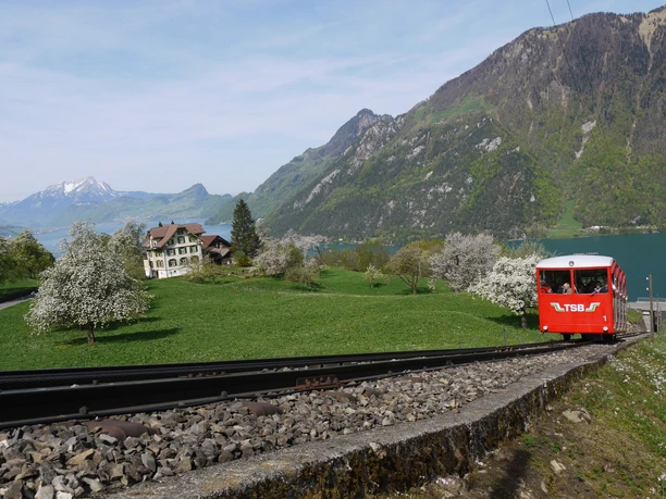 Treib-Seelisberg Bahn