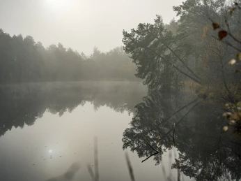 Laaver Moor Laaver MoorLaaver MoorMarais de LaaverLaaver MoorLaaver Moor
