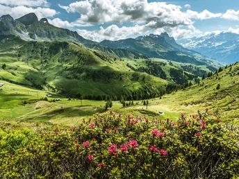 Schächentaler Höhenweg