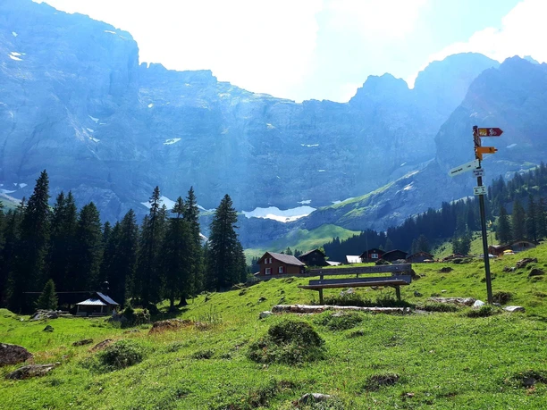 Brunnialp