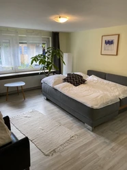 Helles Zimmer mit großem Fenster, Schlafsofa, Pflanzen, Teppich und Kunstwerk an der Wand.