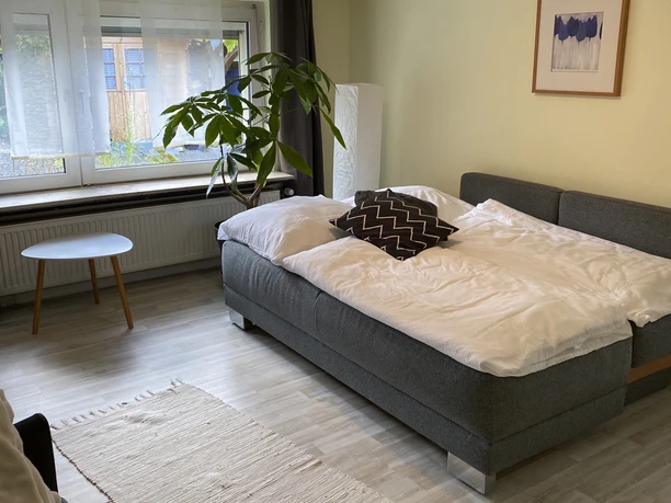 IMG_2938.jpeg Helles Zimmer mit großem Fenster, Schlafsofa, Pflanzen, Teppich und Kunstwerk an der Wand.