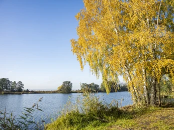 Zeetze bathing area Badestelle ZeetzeZeetze bathing areaLieu de baignade ZeetzeZeetze badzoneZeetze badeområde
