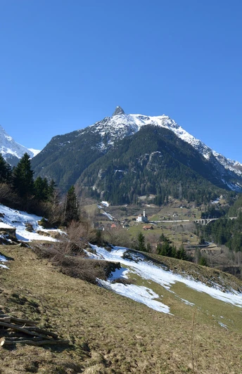 Wassen mit Meiggelenstock
