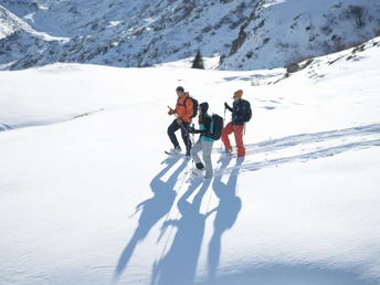 Schneeschuhtour Hospental-Mittleregg