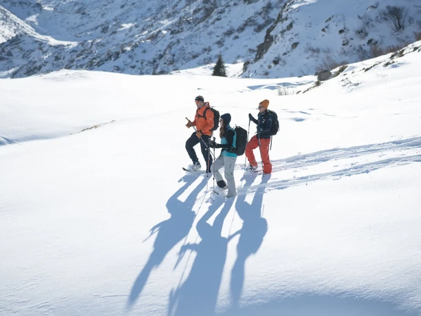 Schneeschuhtour Hospental-Mittleregg