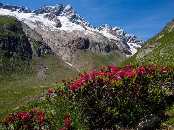 Sustenhorn im Voralptal