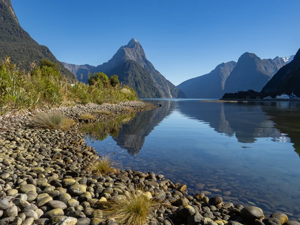 NZ191919 Verbessert RR