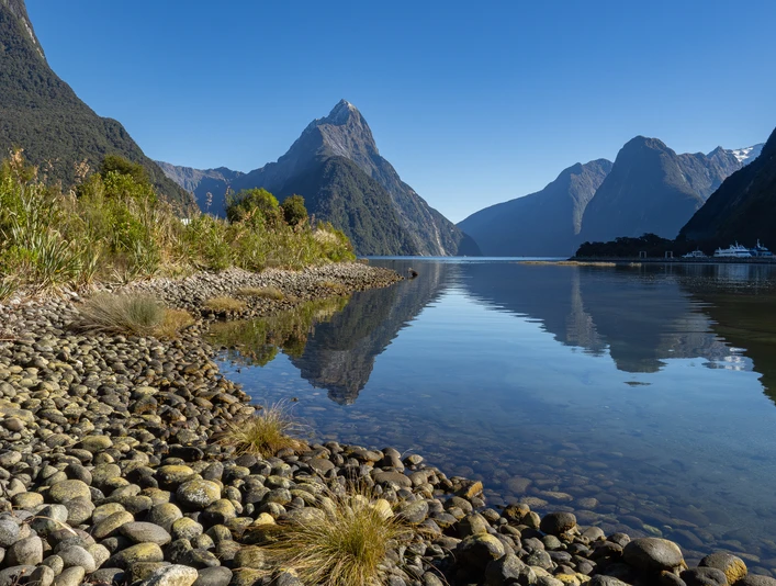 NZ191919 Verbessert RR