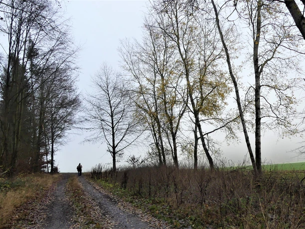 Wandern zwischen Feld und Wald