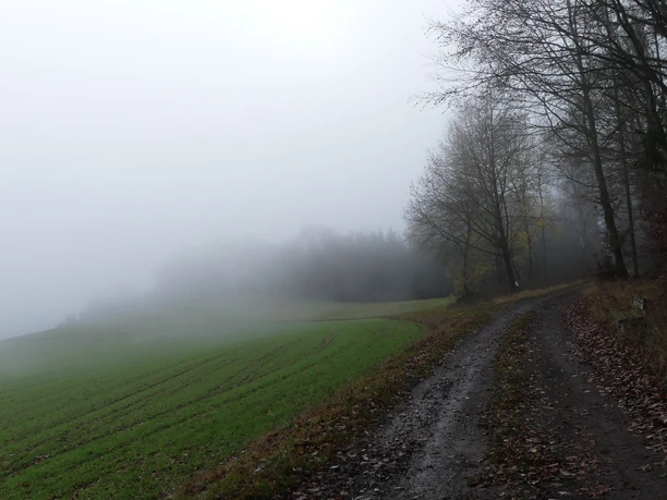 Mystischer Nebel am Kohlbachsköppel