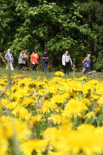 Kräuterlehrpfad Schönheide