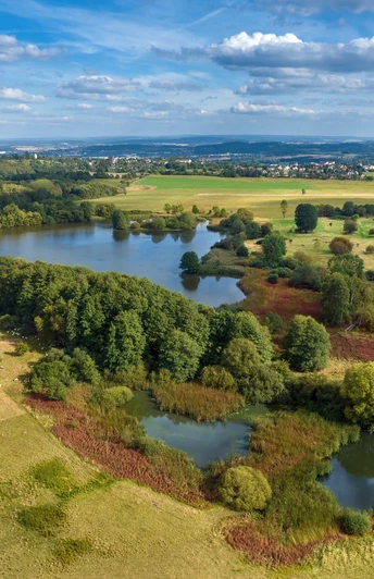 Weidenteich Plauen Neundorf