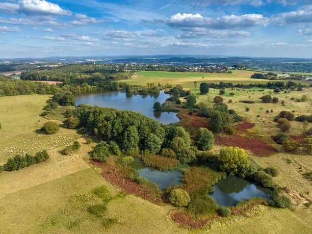 Weidenteich Plauen Neundorf