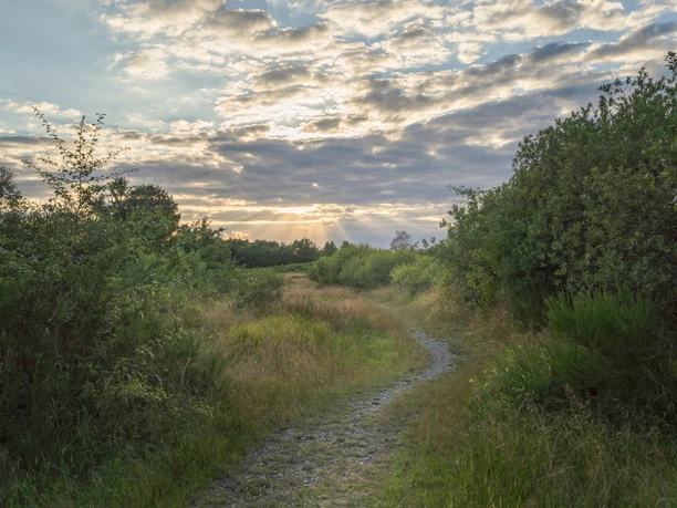 VPW Nähe Weidenteich