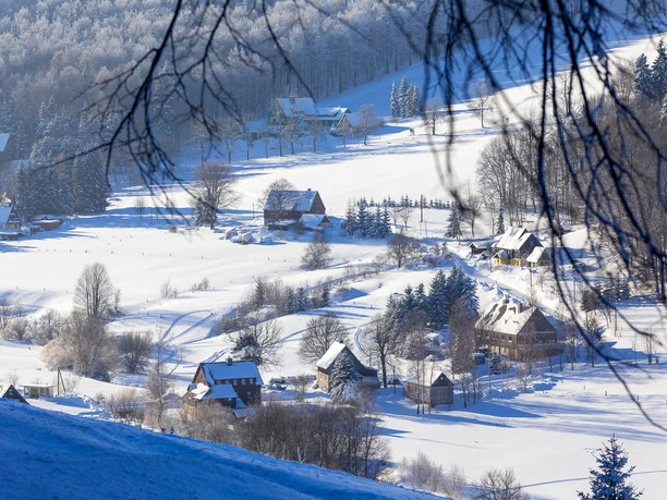Rehefeld-Zaunhaus im Winter