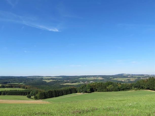 Ausblick