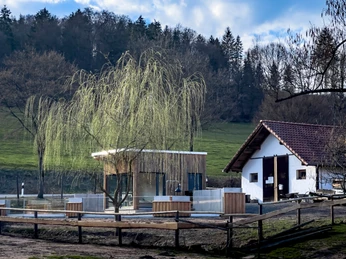 Erdmännchengehege - Wildpark Hardegsen