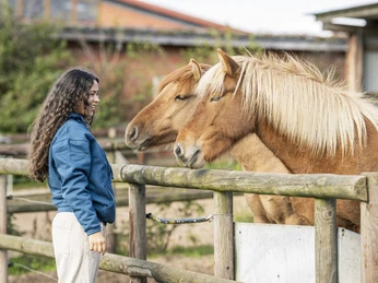 IJslandse paardenstoeterij Kronshof Islandpferdegestüt KronshofKronshof Icelandic horse stud farmHaras de chevaux islandais KronshofIJslandse paardenstoeterij KronshofKronshof stutteri for islandske heste
