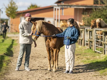 IJslandse paardenstoeterij Kronshof Islandpferdegestüt KronshofKronshof Icelandic horse stud farmHaras de chevaux islandais KronshofIJslandse paardenstoeterij KronshofKronshof stutteri for islandske heste