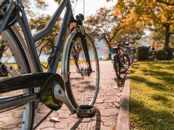 auf der Velroute Luzern-Horw-Kastanienbaum