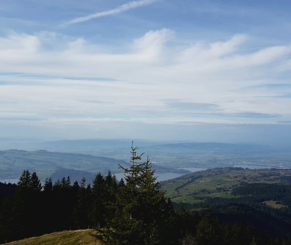 Blick vom Wildspitz auf das Ägerital
