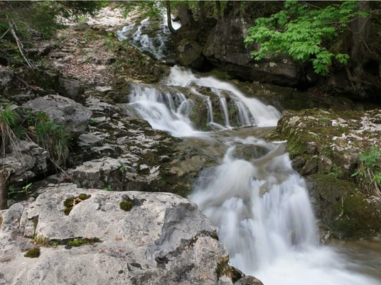 From the source to the lake along the Choltal watercourse