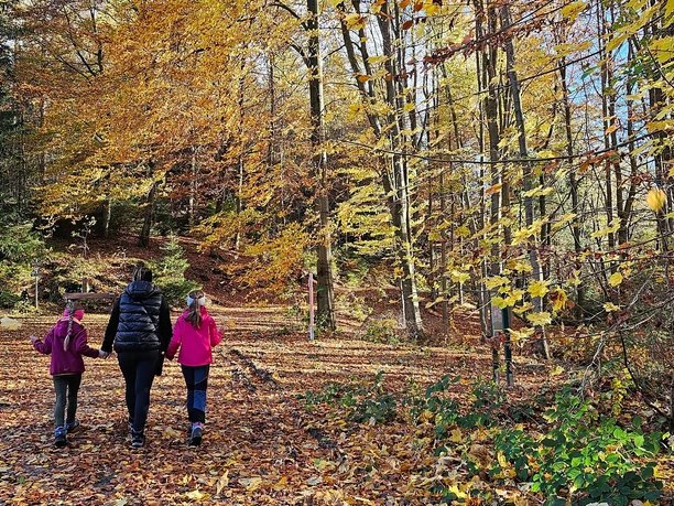 Martins Holzerlebnisweg Ellefeld