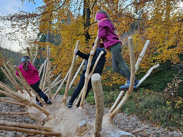 Martins Holzerlebnisweg Ellefeld