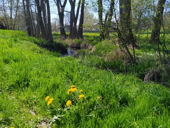 Heinsdorfergrund - Raumbach