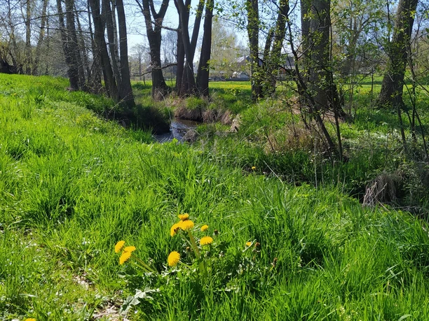 Heinsdorfergrund - Raumbach