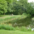 Lappenspring Teich im Kurpark am Greif Salzgitter-Bad