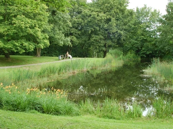 Lappenspring Teich im Kurpark am Greif Salzgitter-Bad