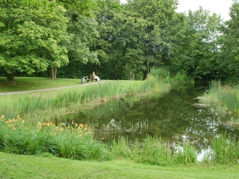 Lappenspring Teich im Kurpark am Greif Salzgitter-Bad