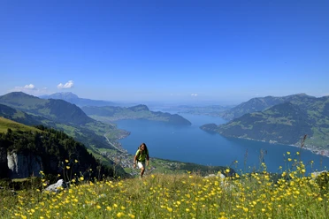 Vorbei an der Alp Tritt zum Niederbauen-Chulm