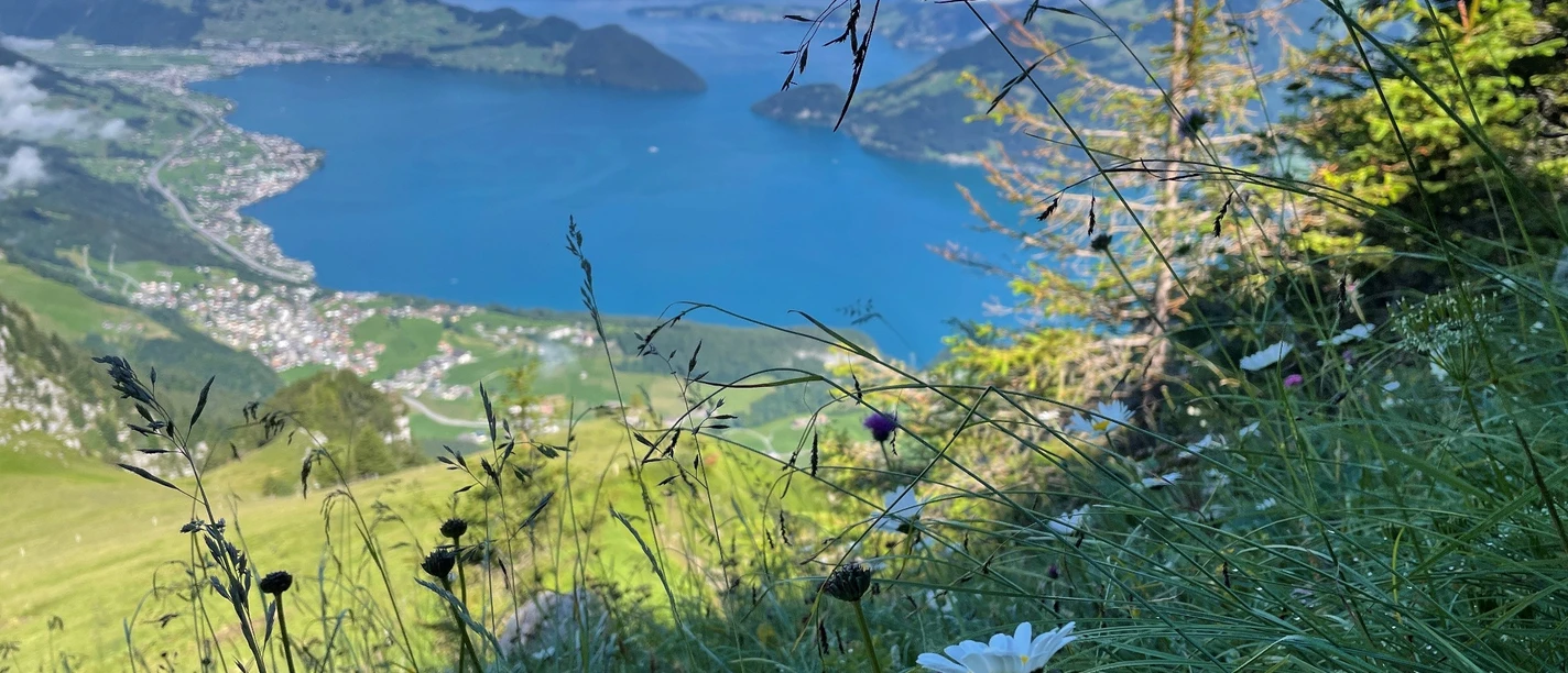 Das Erlebnis - Seelisberg Weid Niederbauen Emmetten
