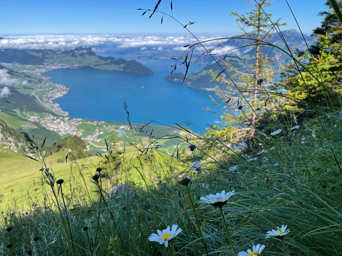 Das Erlebnis - Seelisberg Weid Niederbauen Emmetten