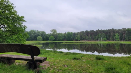 Schnakenpohl Holzbänke am beschaulichen Seeufer mit üppigem Grün und dichtem Wald im Hintergrund laden zum Verweilen ein.