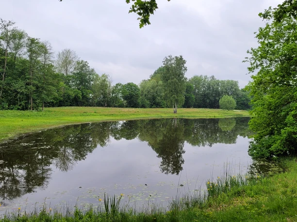Schnakenpohl Ein stiller Teich, umgeben von grünen Bäumen und Wiesen, mit ruhigen Spiegelungen im Wasser.