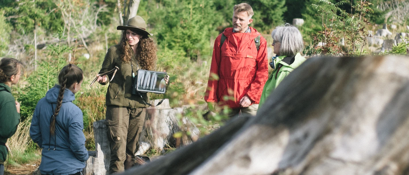 Wildnisspaziergang mit Rangerin