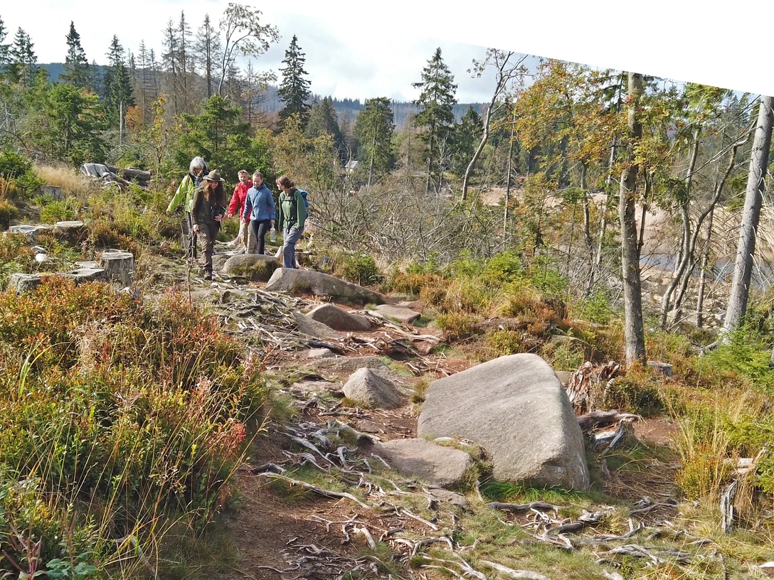 Oderteich_Rangertour