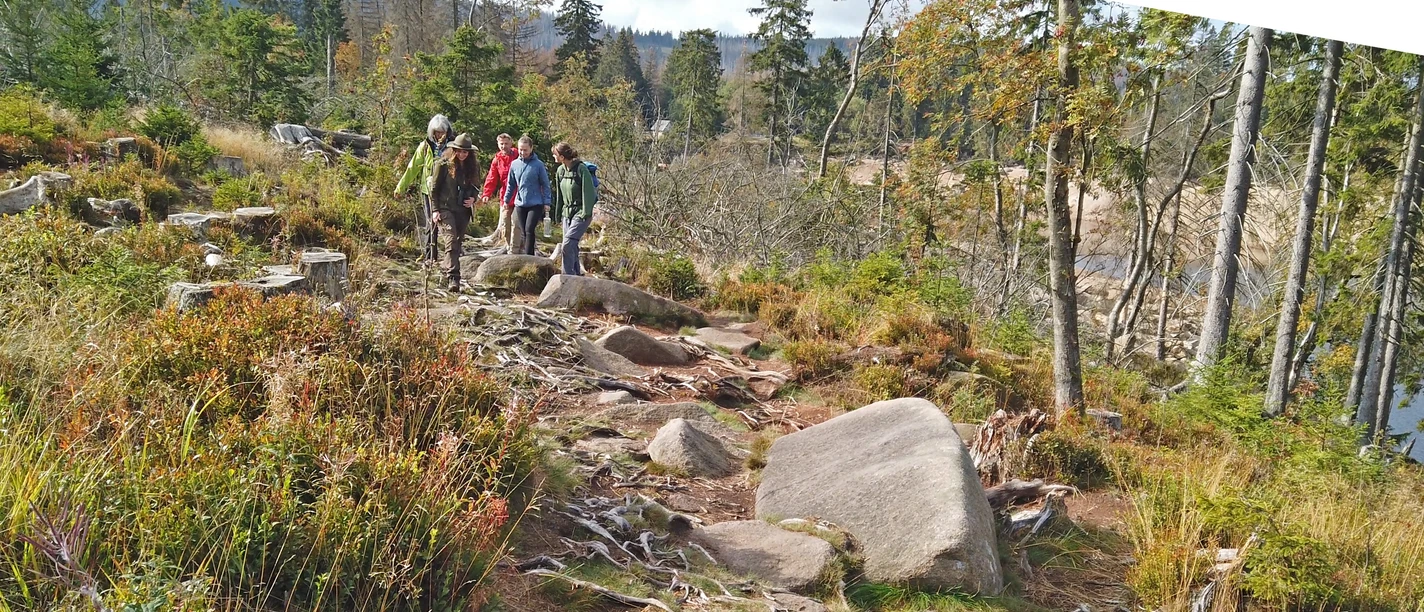 Oderteich_Rangertour
