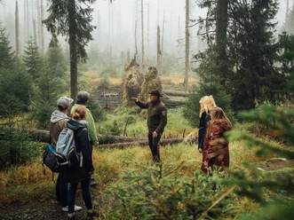 Rangerführung durch die Waldwildnis